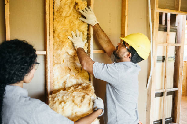 Best Insulation for New Construction  in Whitney Point, NY