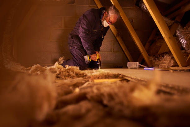 Best Residential Insulation Services  in Whitney Point, NY