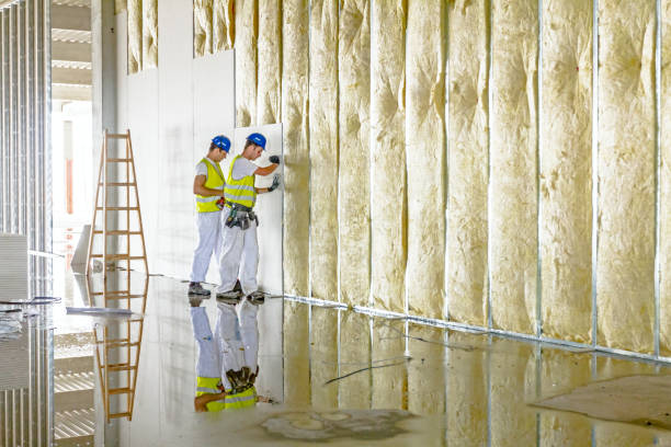 Best Affordable Insulation Services  in Whitney Point, NY